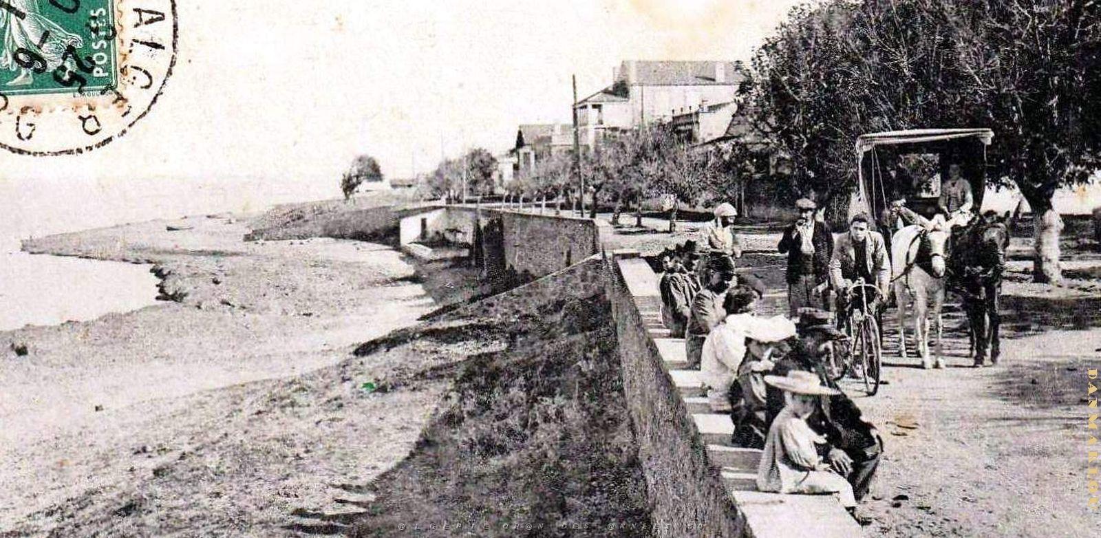 2664- Castiglione - Plage2 - 1911.jpg